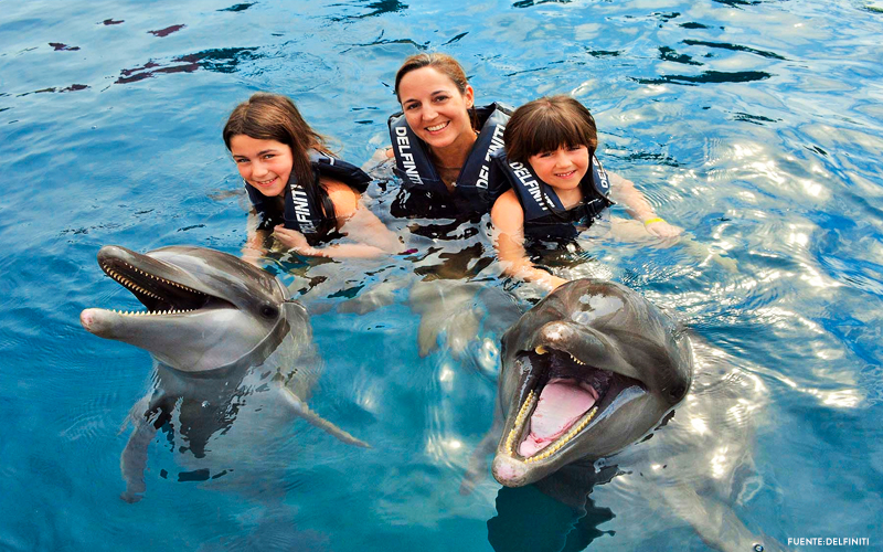 delfiniti en ixtapa